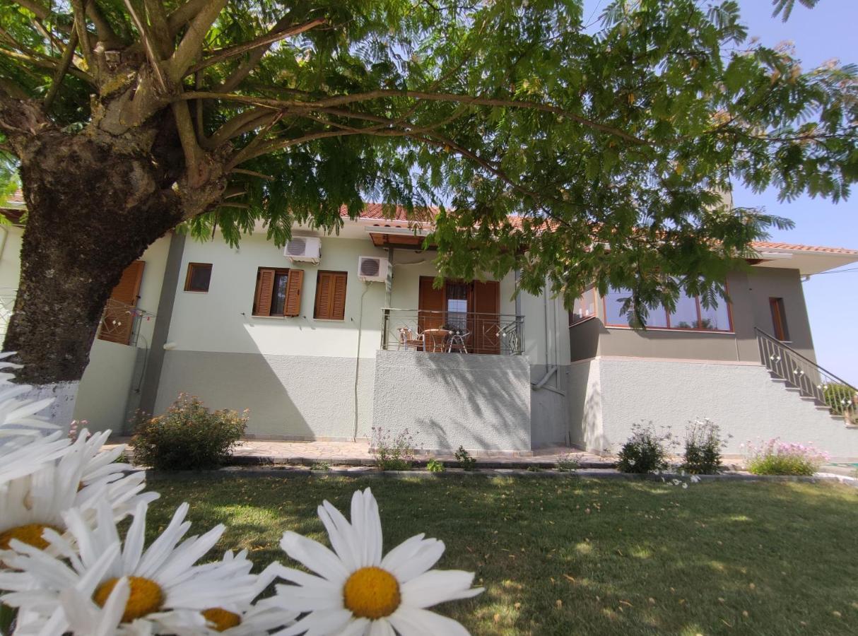 Zisis Garden Studios Янина Екстериор снимка